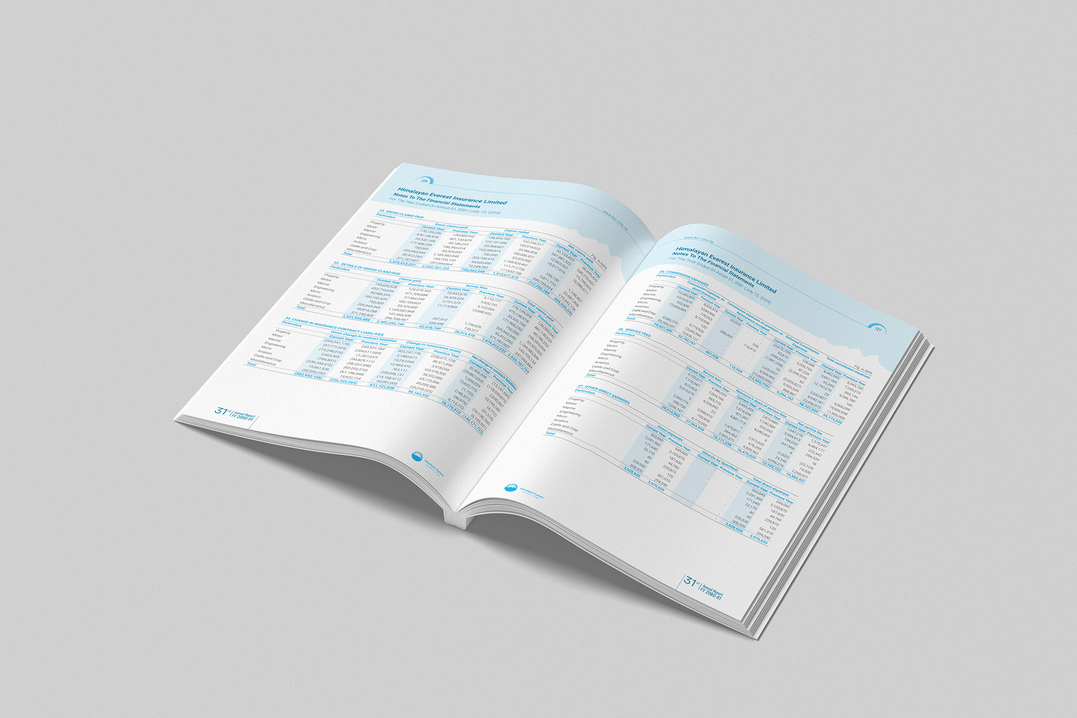 Himalayan Everest Insurance